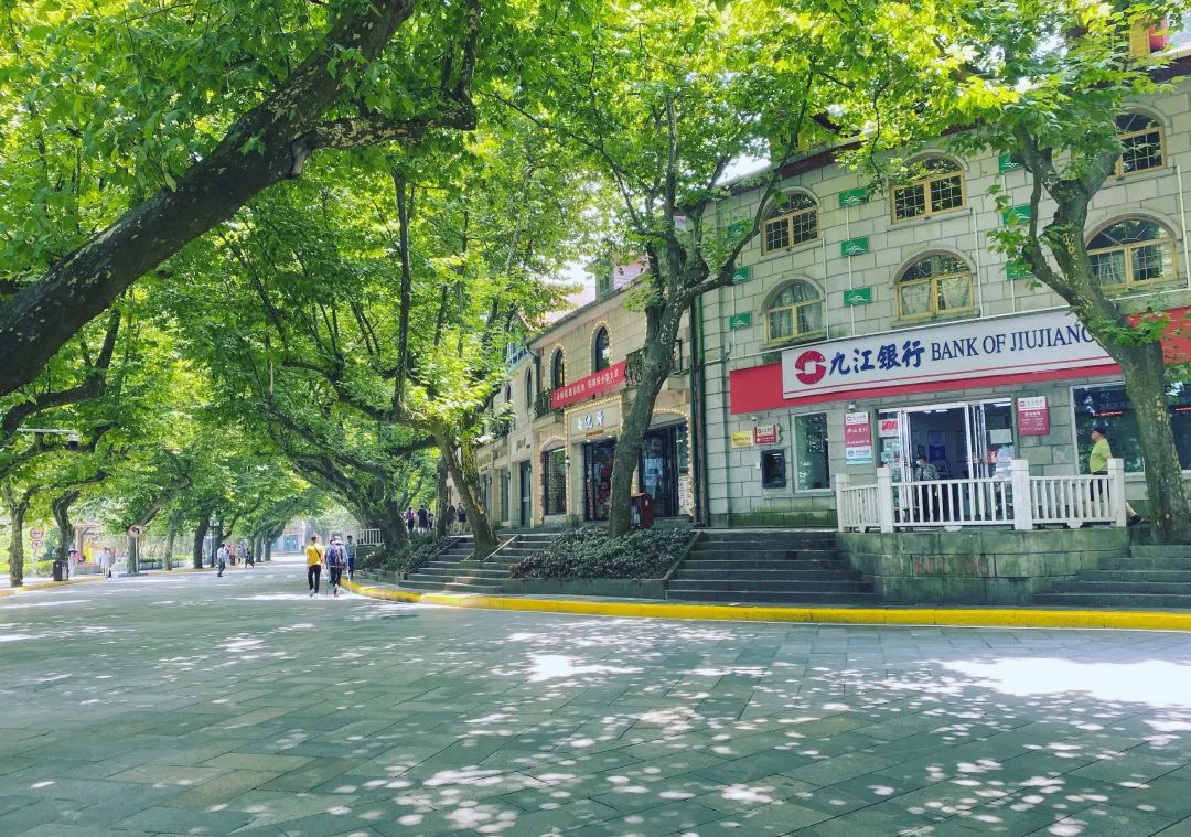 海搬山和山搬山_一座山_山茱萸