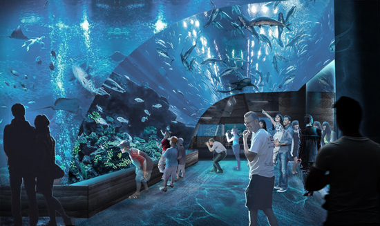 厦门亲子_厦门亲子活动_厦门户外亲子活动