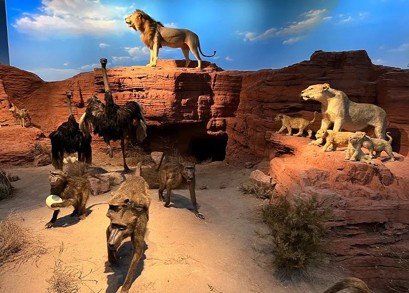 重庆科技馆电影票_重庆科技馆电影_重庆科技馆电影院