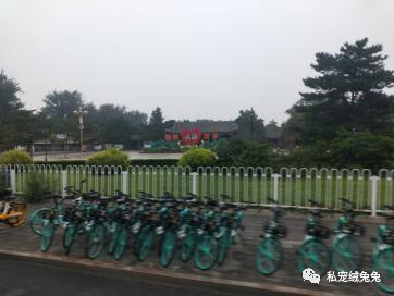 中国科技馆安贞_科技馆附近的医院_科技馆 安贞桥