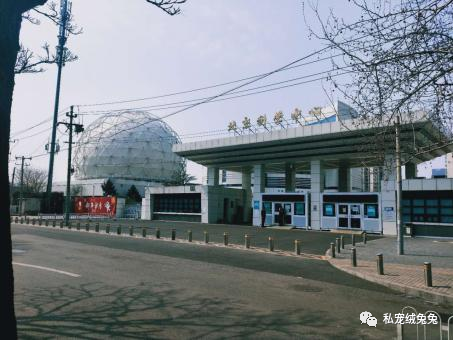 科技馆在北京几环_科技馆 安贞桥_科技馆北京门票预约