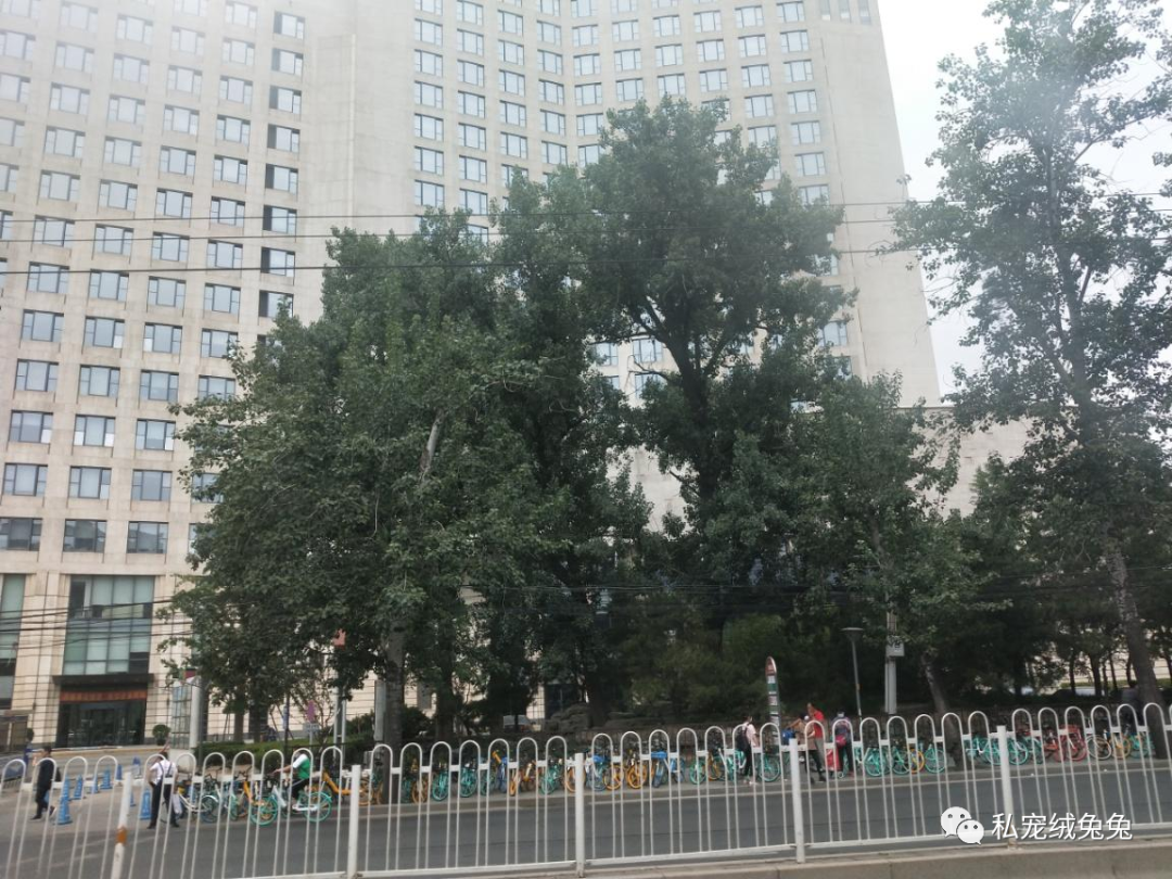 科技馆在北京几环_科技馆 安贞桥_科技馆北京门票预约