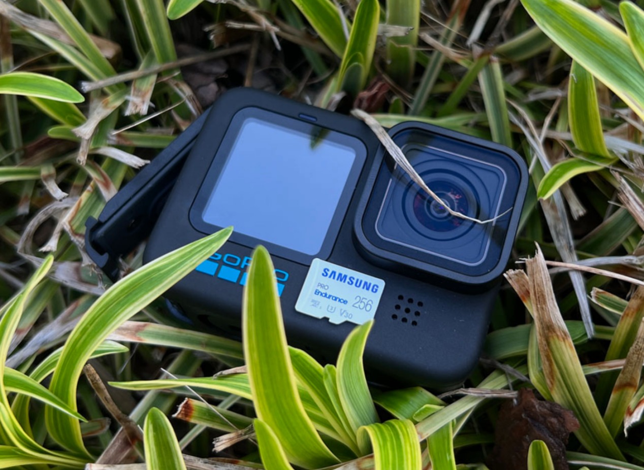 保修三星存储卡怎么用_保修三星存储卡怎么激活_三星 存储卡 保修