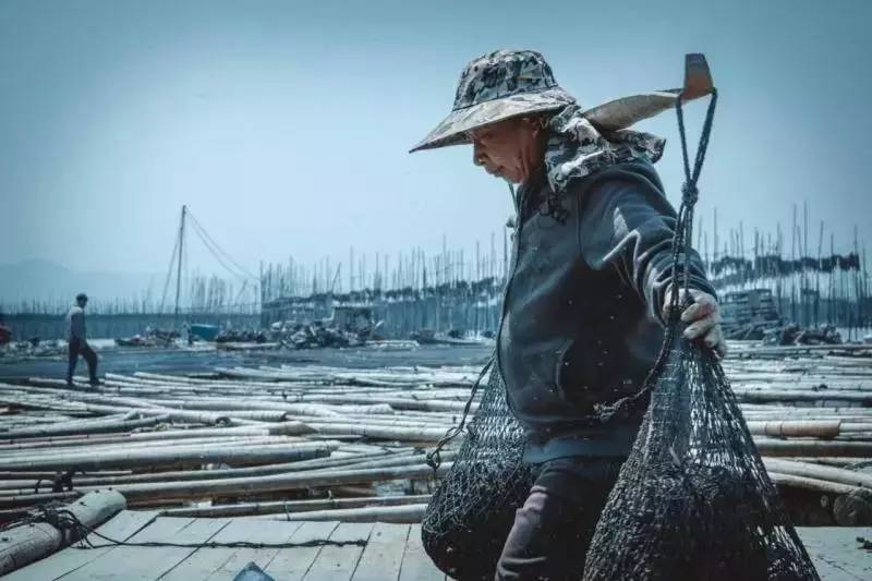 渔场是谁_我国的四大渔场是_渔场一般位于哪里