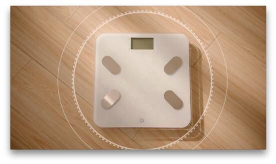 香山体脂秤使用说明_香山体脂称使用说明书_香山体脂秤的数据怎么做对比