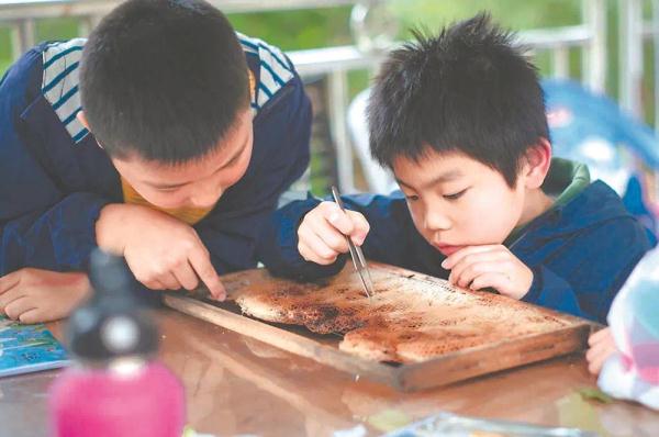 暑期研学：火起来更要活起来