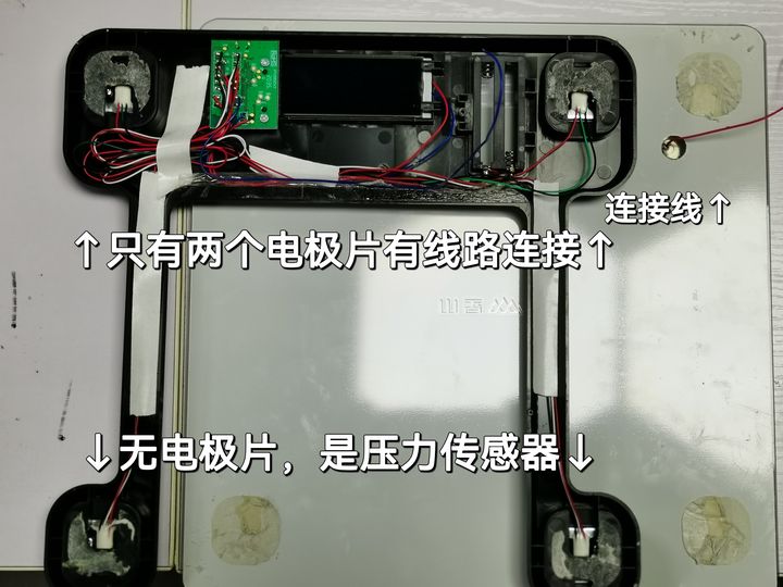 香山体脂秤怎么用_香山体脂秤使用说明_香山体脂秤数据解读