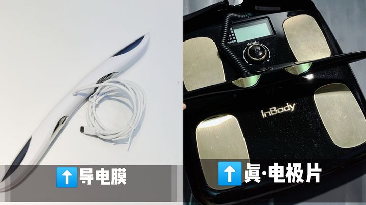 香山体脂秤数据解读_香山体脂秤使用说明_香山体脂秤怎么用