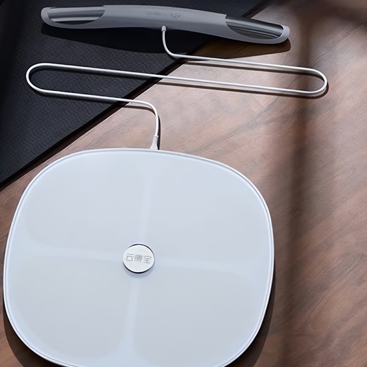 香山体脂秤怎么用_香山体脂秤使用说明_香山体脂秤数据解读