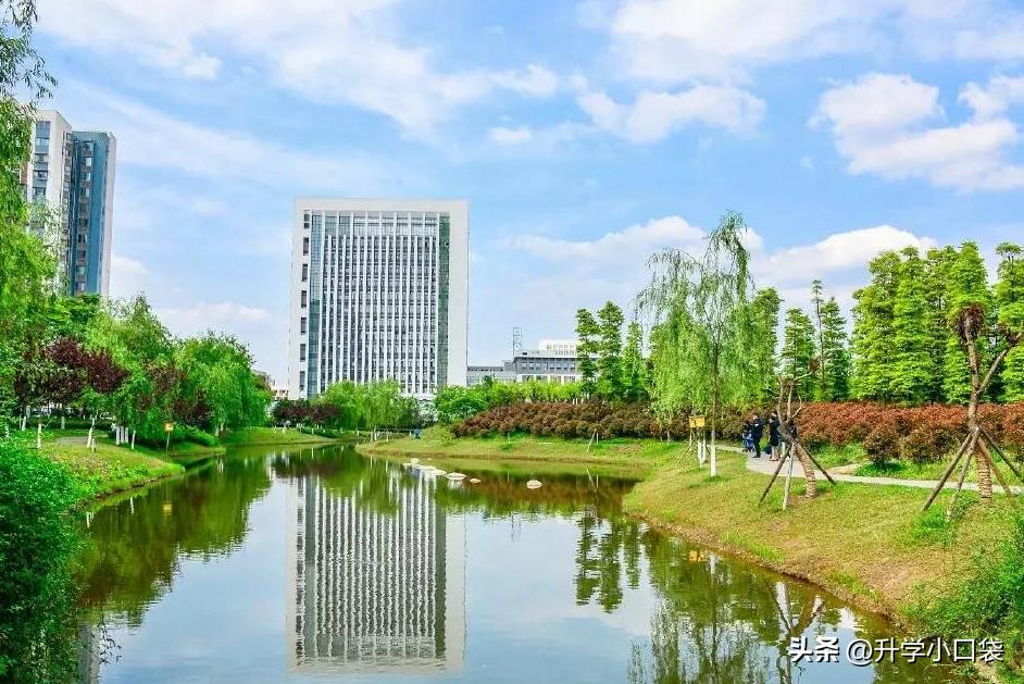 西南石油大学地质工程_西南石油大学地质学院_西南石油大学石油地质学