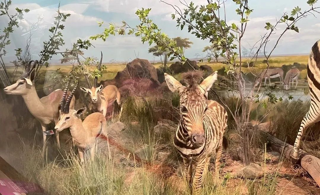 郑州科技馆地址_科技馆郑州门票多少钱_科技馆郑州