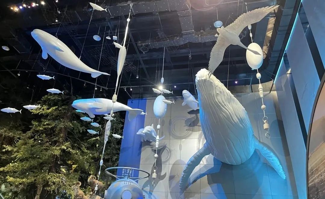 科技馆郑州门票多少钱_郑州科技馆地址_科技馆郑州