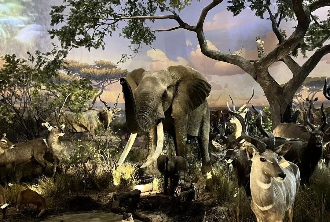 科技馆郑州_科技馆郑州门票多少钱_郑州科技馆地址