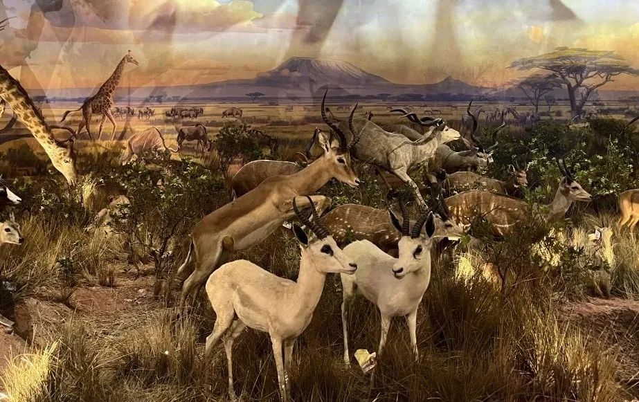 科技馆郑州_郑州科技馆地址_科技馆郑州门票多少钱