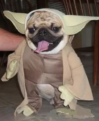 北京天文馆电影时间表_北京天文馆4d电影哪个好_北京天文馆4d电影时间