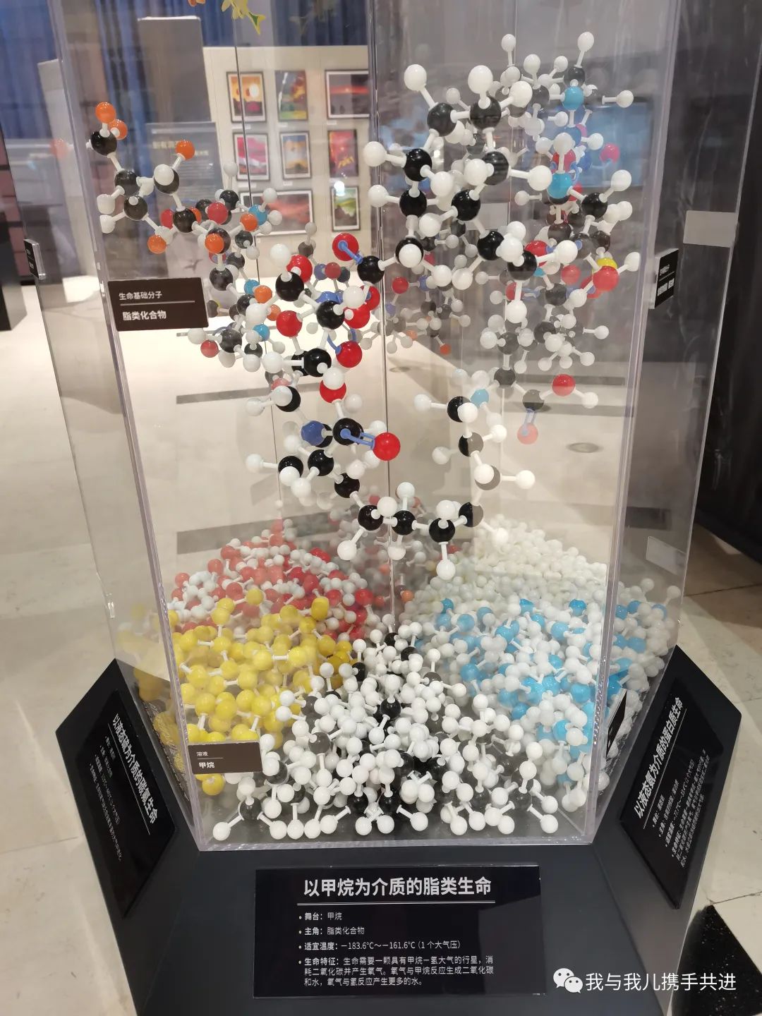 天文馆4d电影播放时间_北京天文馆4d电影哪个好_北京天文馆4d电影时间