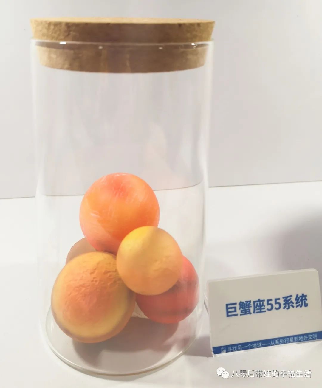 天文馆4d电影播放时间_北京天文馆4d电影时间_北京天文馆4d电影哪个好