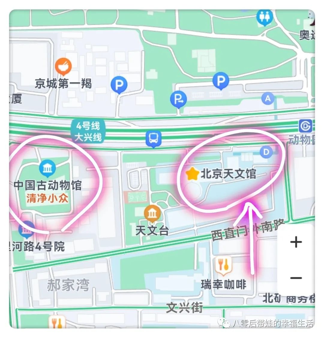 北京天文馆4d电影时间_北京天文馆4d电影哪个好_天文馆4d电影播放时间