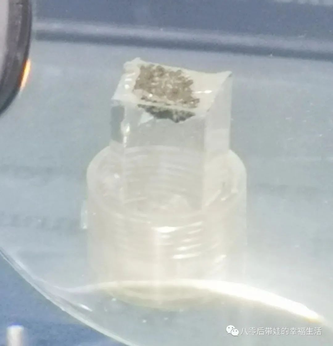 北京天文馆4d电影哪个好_北京天文馆4d电影时间_天文馆4d电影播放时间