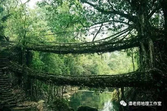 梁式桥的分类_梁式桥分类_桥梁样式分类