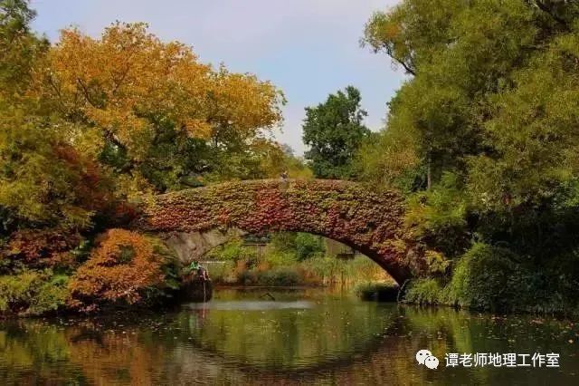 梁式桥的分类_梁式桥分类_桥梁样式分类