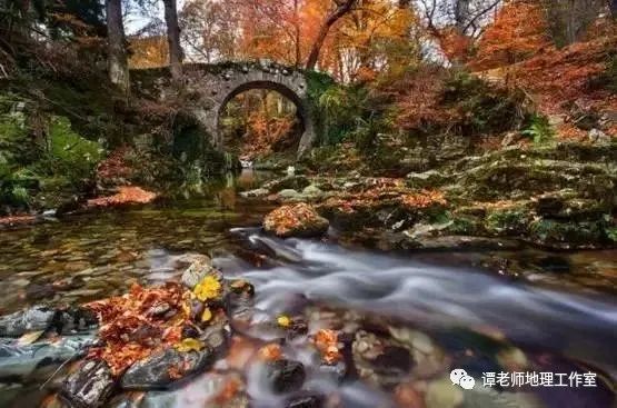 桥梁样式分类_梁式桥分类_梁式桥的分类