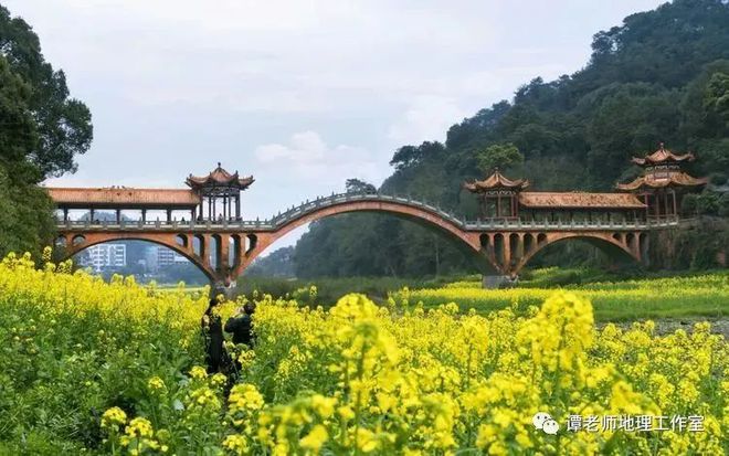 梁式桥分类_梁式桥的分类_桥梁样式分类