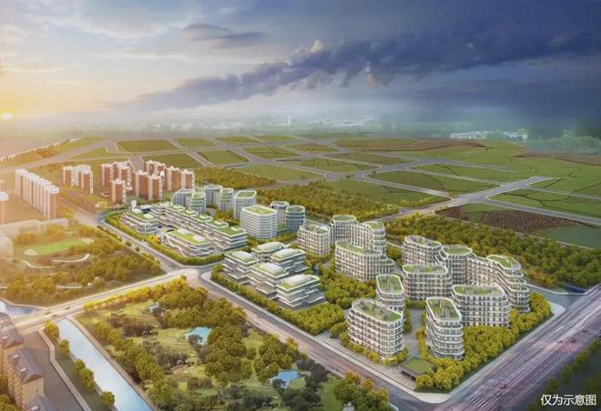 翠湖科技园属于什么街道_翠湖科技园地块规划_翠湖科技园a块地