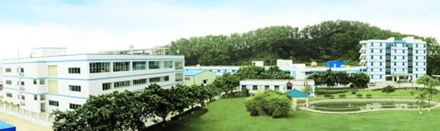 防伪不干胶贴纸印刷厂_胶印仿制_贴纸印刷生产