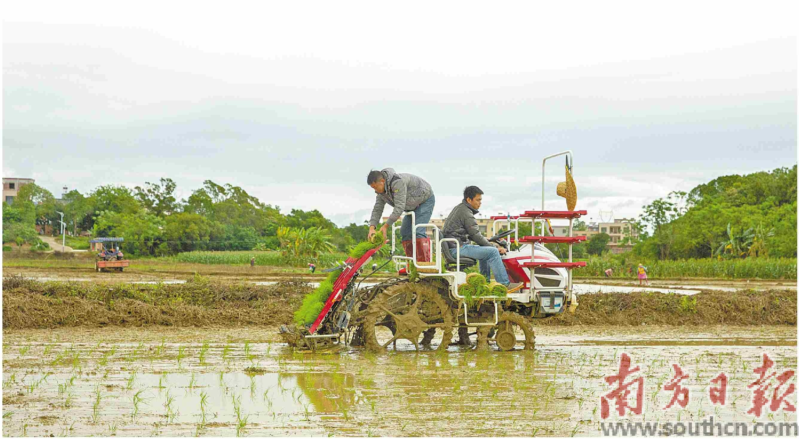 电白区现代农业机械化_无人机打药多少钱一台_春耕无人机喷洒化肥农药