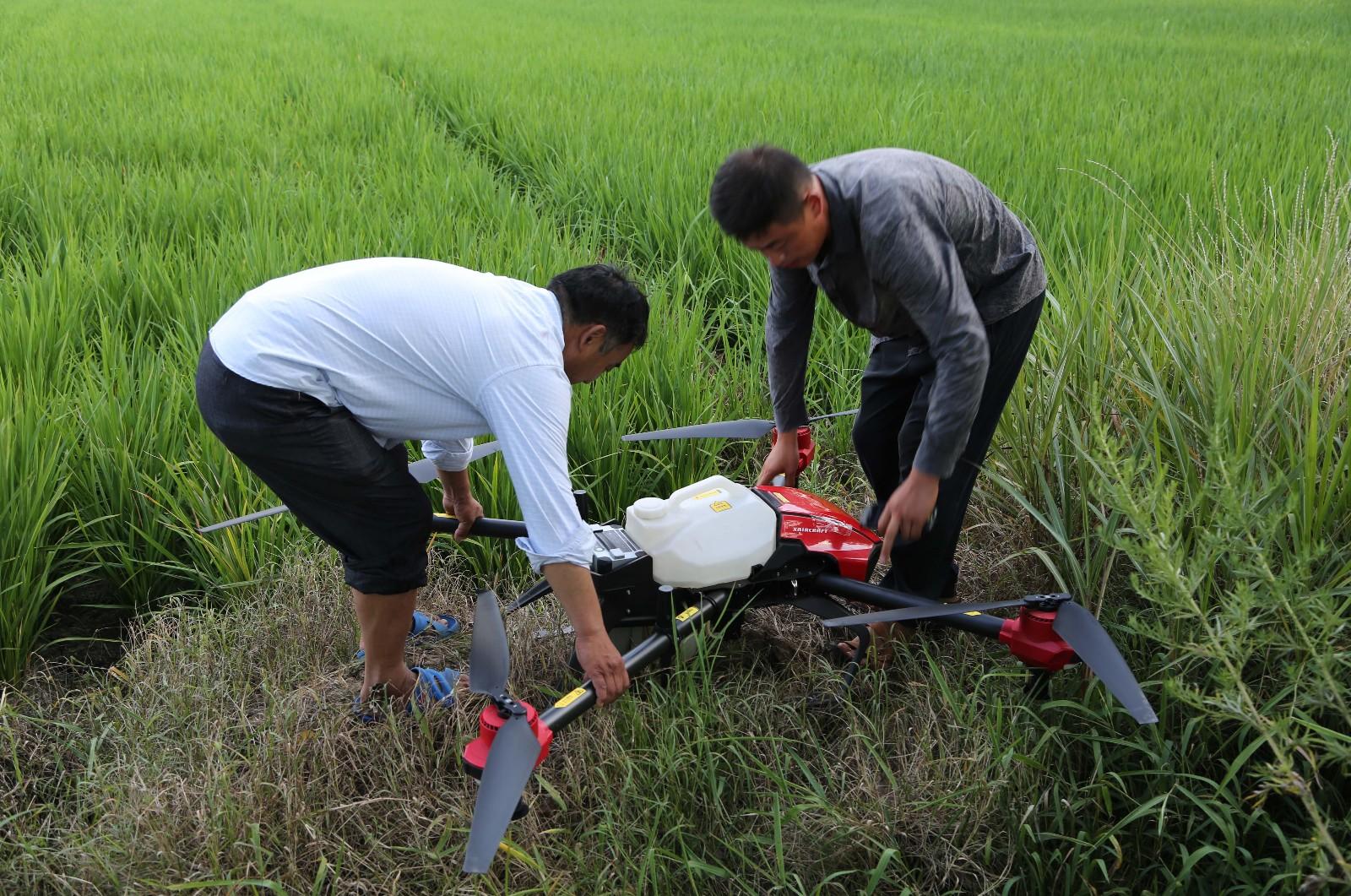 植保无人机应用案例_无人机打药多少钱一台_无人机喷洒农药技术