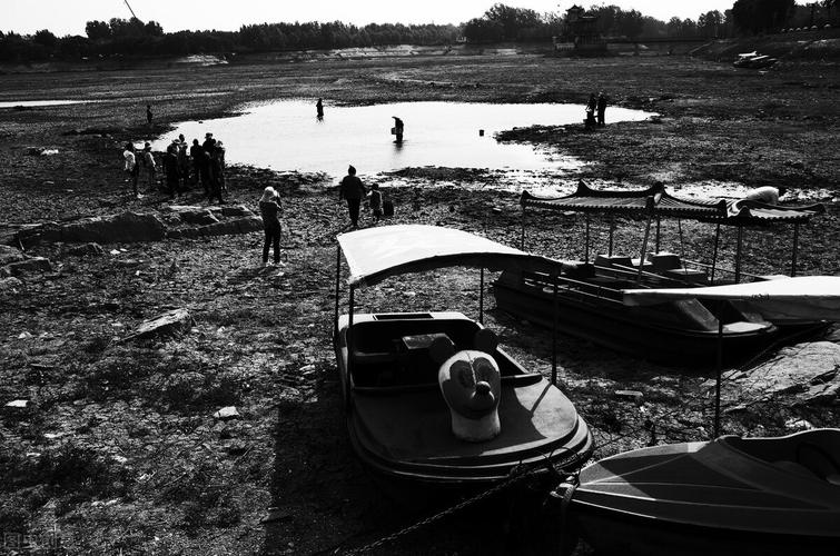 舟山渔场复兴历程_舟山渔场无鱼可捞原因_中国四大渔场排名