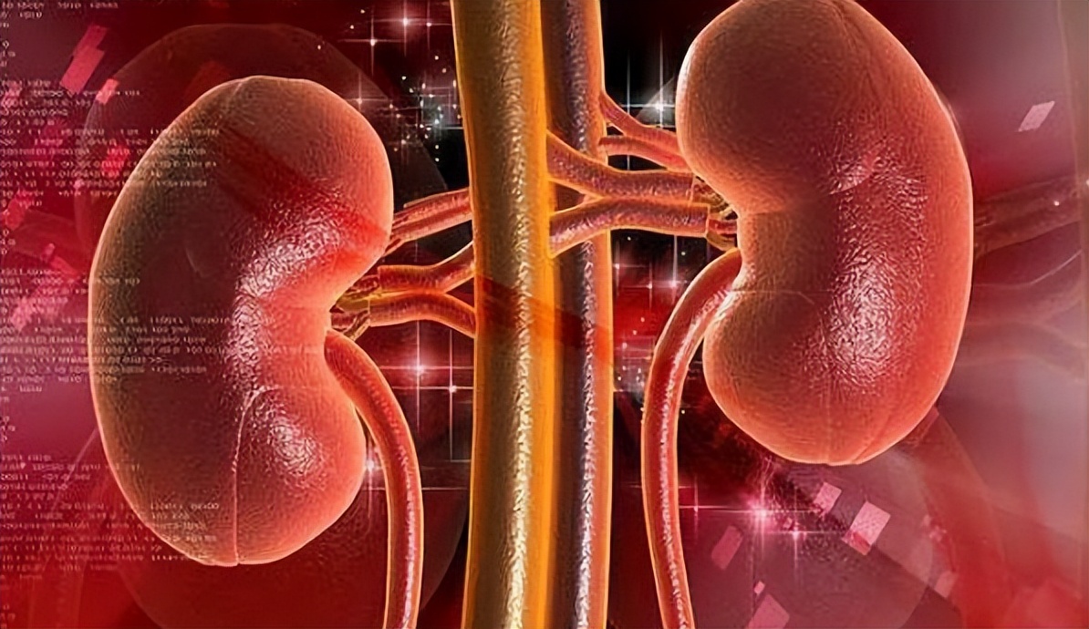 肾小球滤过率重要性_肾小球是什么球_肌酐与GFR比较