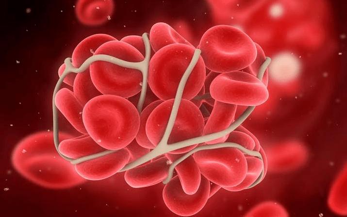 肌酐与GFR比较_肾小球是什么球_肾小球滤过率重要性