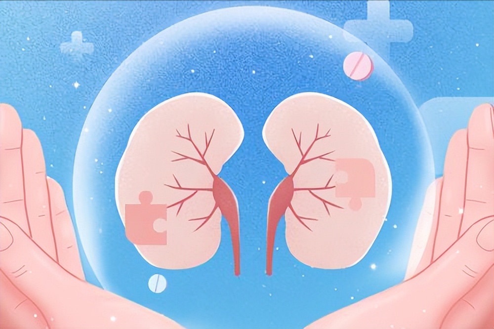 GFR与肌酐区别_肾小球是什么球_肾小球滤过率GFR重要性