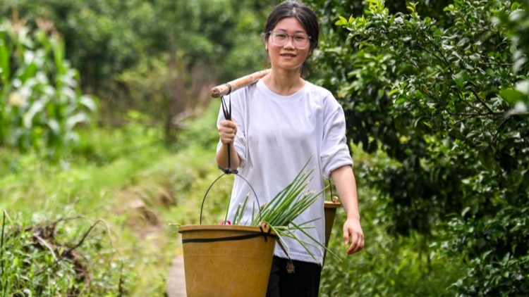 醉驾不起诉免刑标准_醉驾处罚新规解读_醉酒驾驶怎么处罚可以判缓刑吗