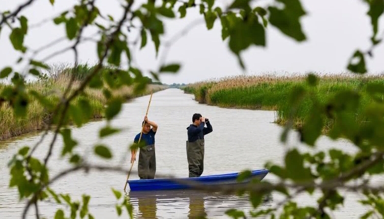 醉酒驾驶怎么处罚可以判缓刑吗_醉驾不起诉免刑标准_醉驾处罚新规解读