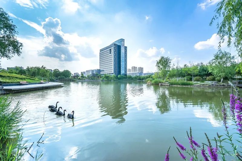 江苏徐州工程学院_徐州工程学院招生计划_徐州工程学院2024招生章程