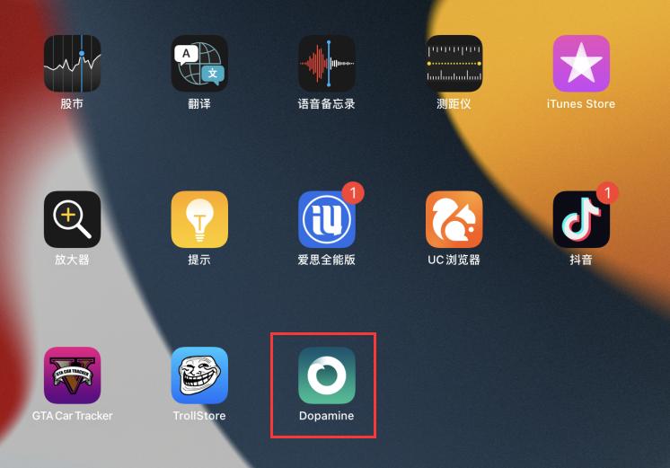 红雪5.1.1越狱工具_多巴胺越狱工具 iOS 15_Dopamine越狱教程 iPhone 13
