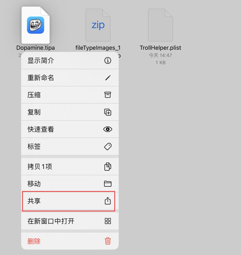红雪5.1.1越狱工具_多巴胺越狱工具 iOS 15_Dopamine越狱教程 iPhone 13