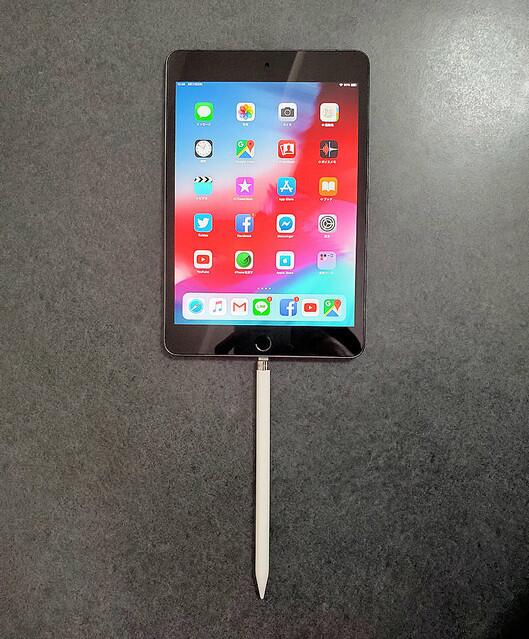 iPad mini 5 实机测评_怎么看ipad迷你是几代_iPad mini 5 A12仿生芯片