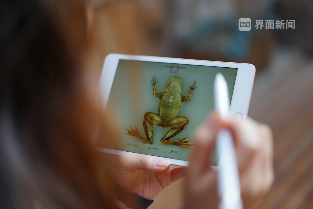 iPad mini 2021 使用体验_怎么看ipad迷你是几代_ iPad mini 轻便平板电脑