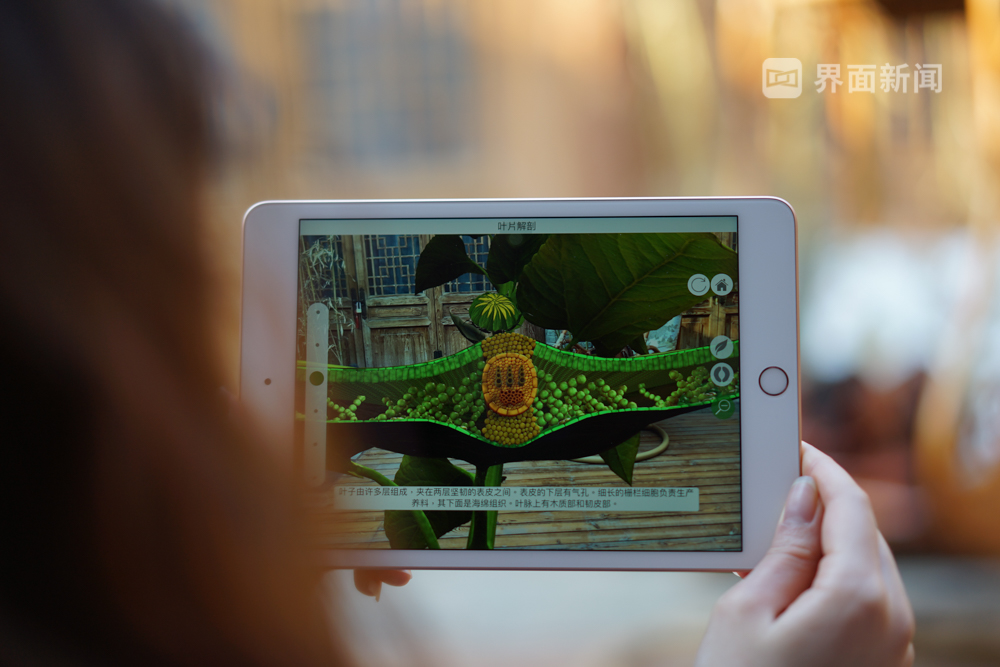 iPad mini 2021 使用体验_ iPad mini 轻便平板电脑_怎么看ipad迷你是几代