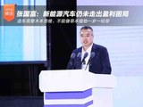 张国富：新能源汽车仍未走出盈利困局