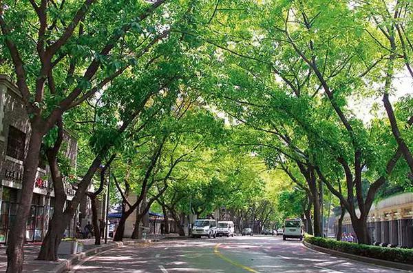 重庆五一游玩攻略_重庆方特科幻公园在哪里_重庆五一旅游推荐