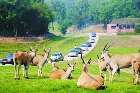 重庆五一旅游推荐_重庆五一游玩攻略_重庆方特科幻公园在哪里