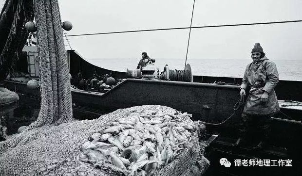 大型渔场形成原因_世界四大渔场分布_高考地理专题设计