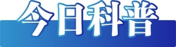2025年虚假新闻_虚假信息网络传播_重金悬赏寻妻谣言