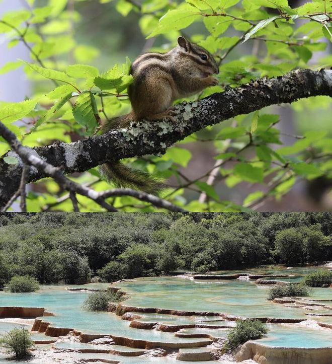 四川亲子游五天行程_九寨沟亲子游攻略_四川九寨沟黄龙川主寺旅游攻略