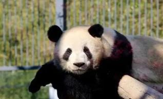 北京科学博物馆科普之旅_第十届北京科学嘉年华活动_北京哪个科技馆最好玩